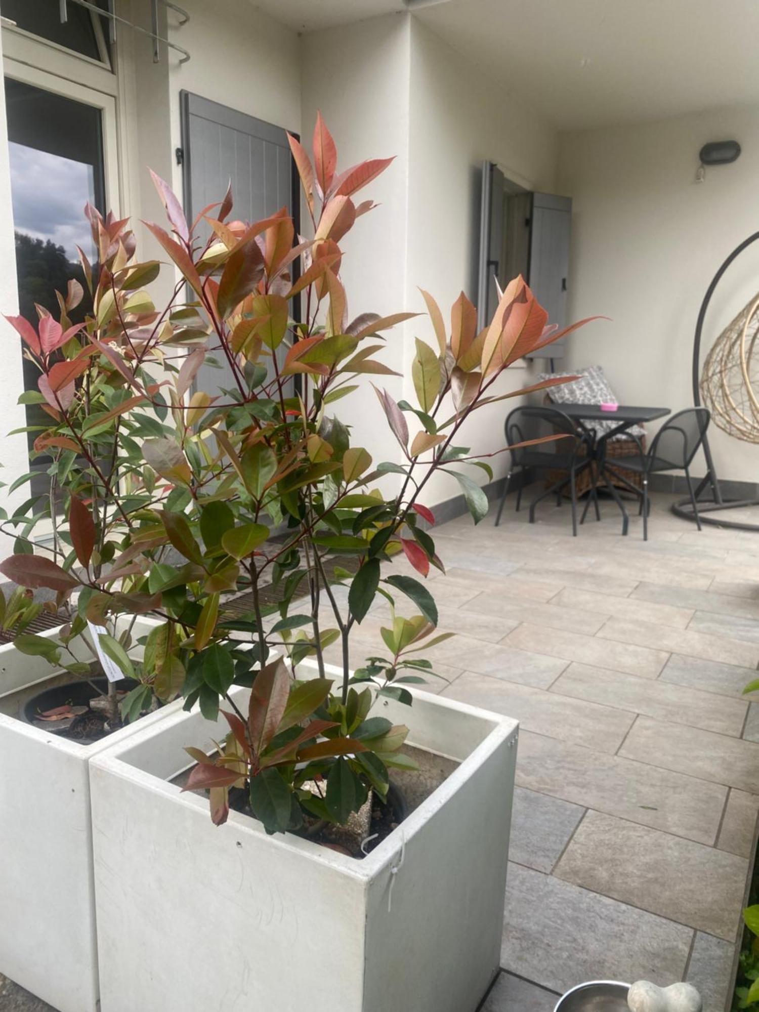 Apartment Lake View Malcesine Exterior foto